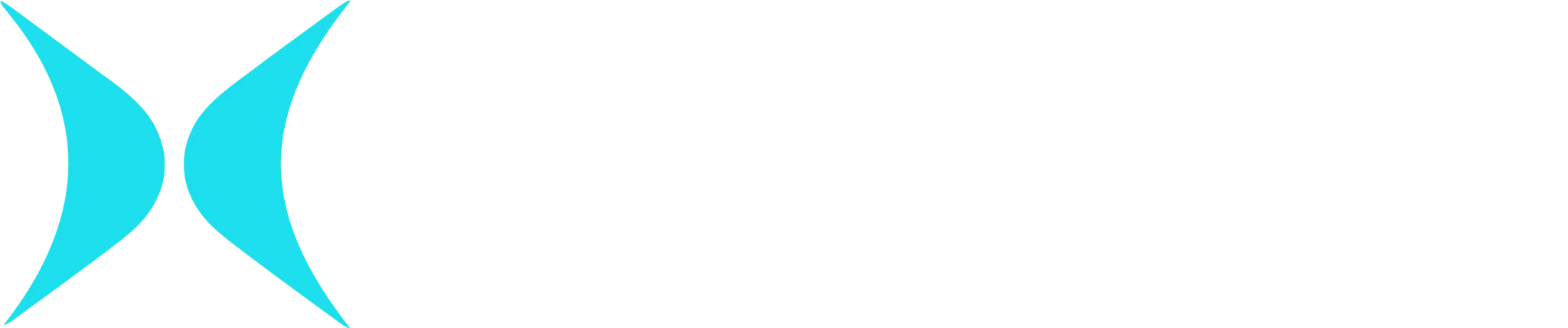 DashCity
